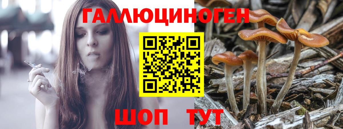 Галлюциногенные грибы прущие грибы  Вход с VPN  Котельники 